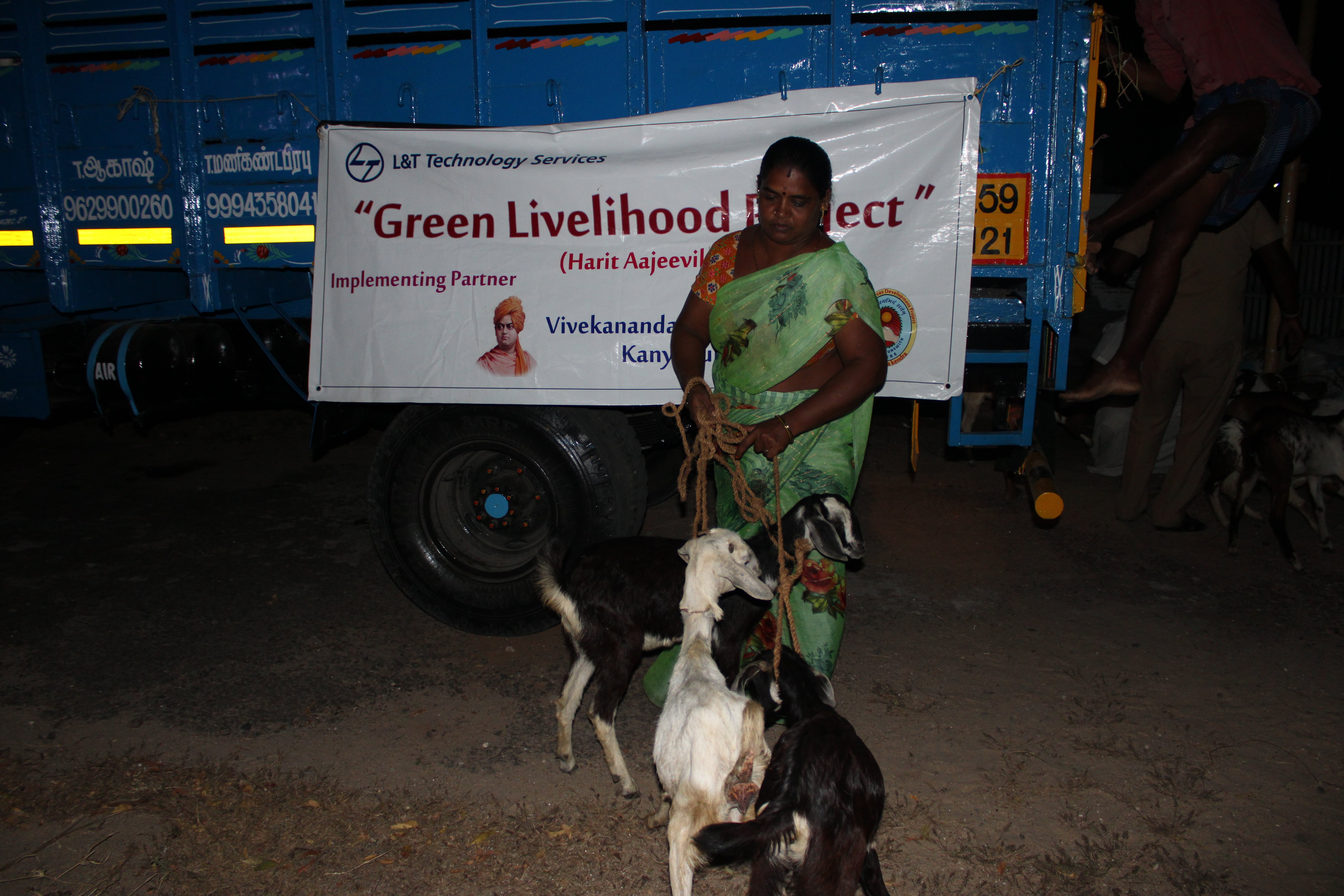 Mailambadi Goat