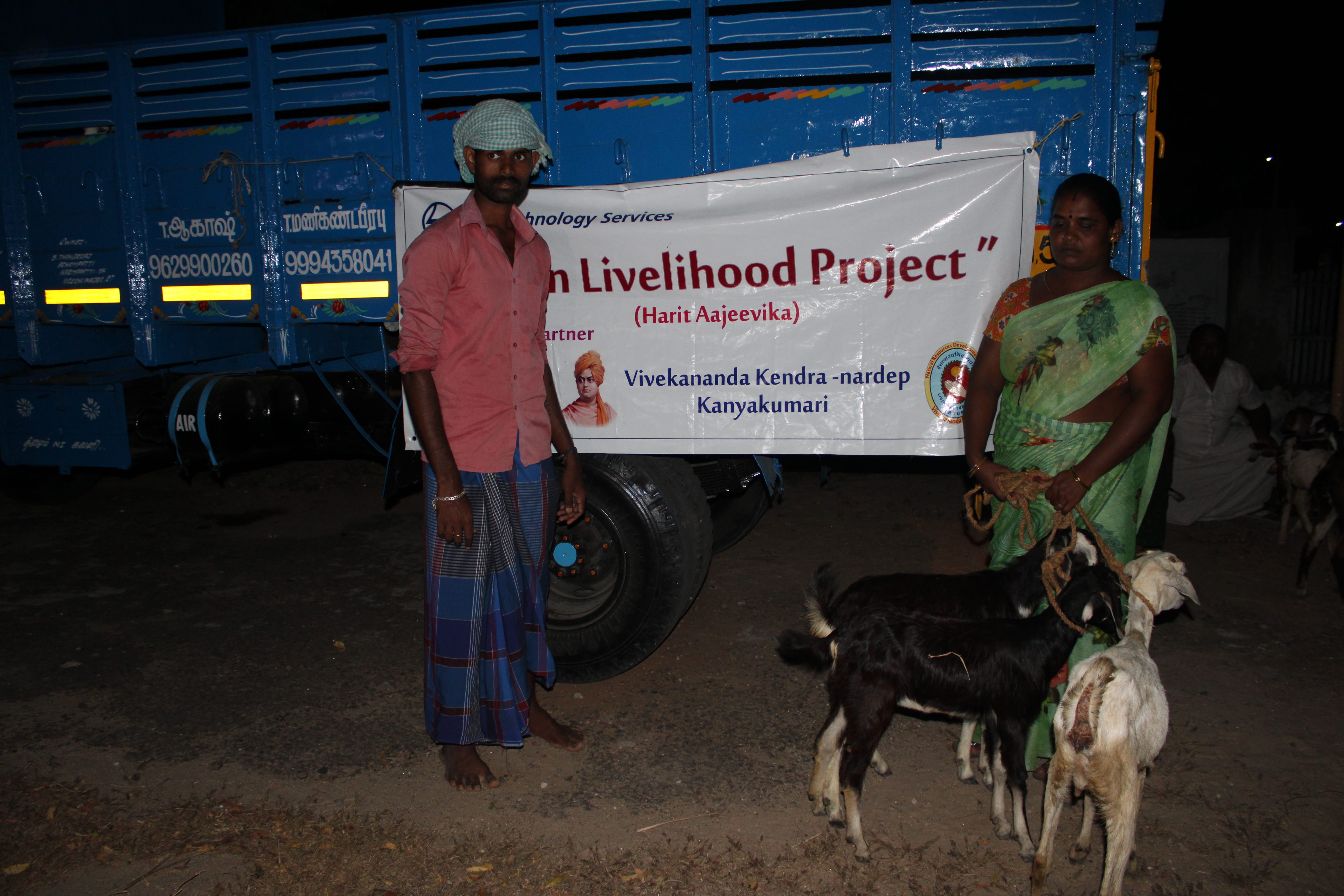 Mailambadi Goat