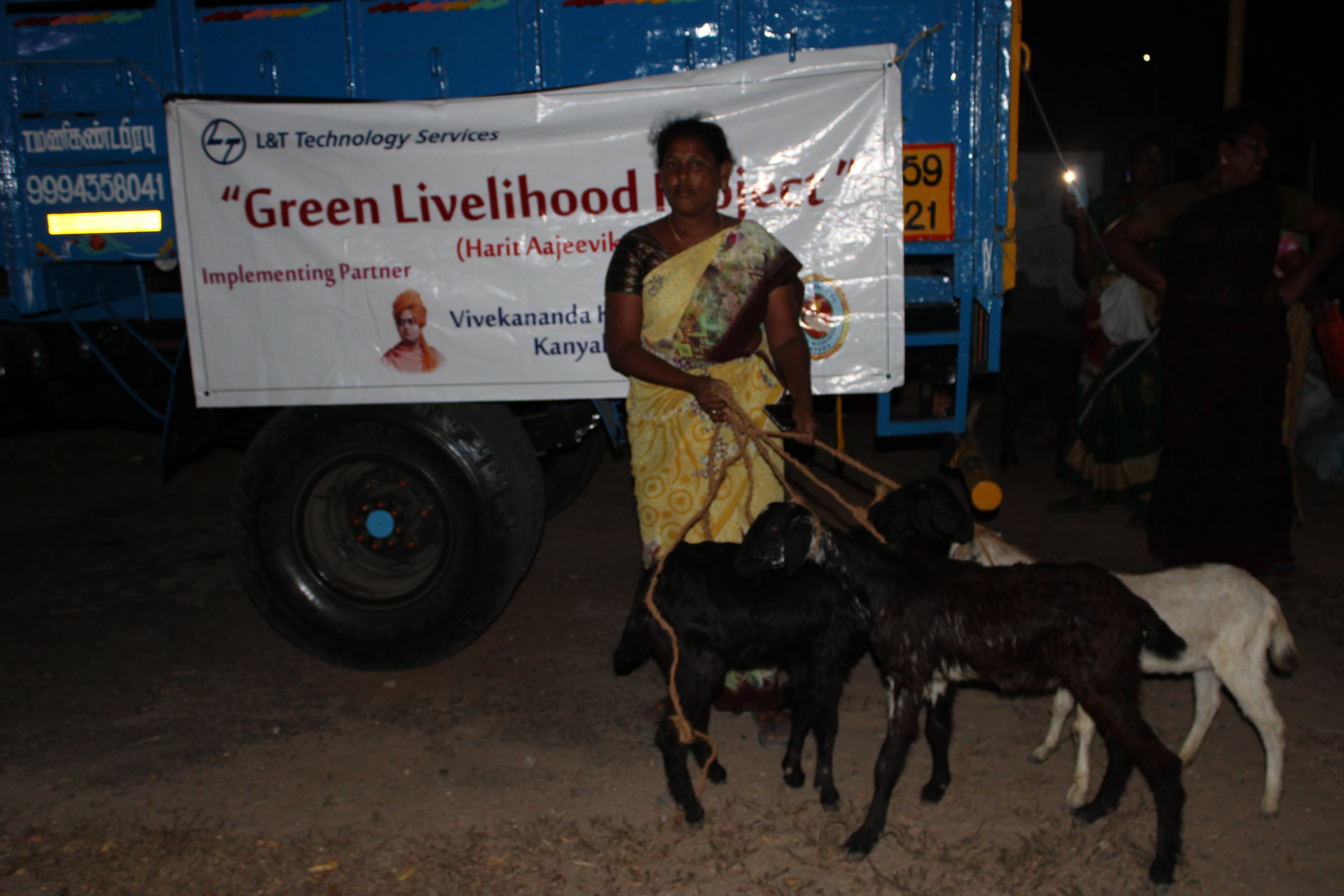 Mailambadi Goat