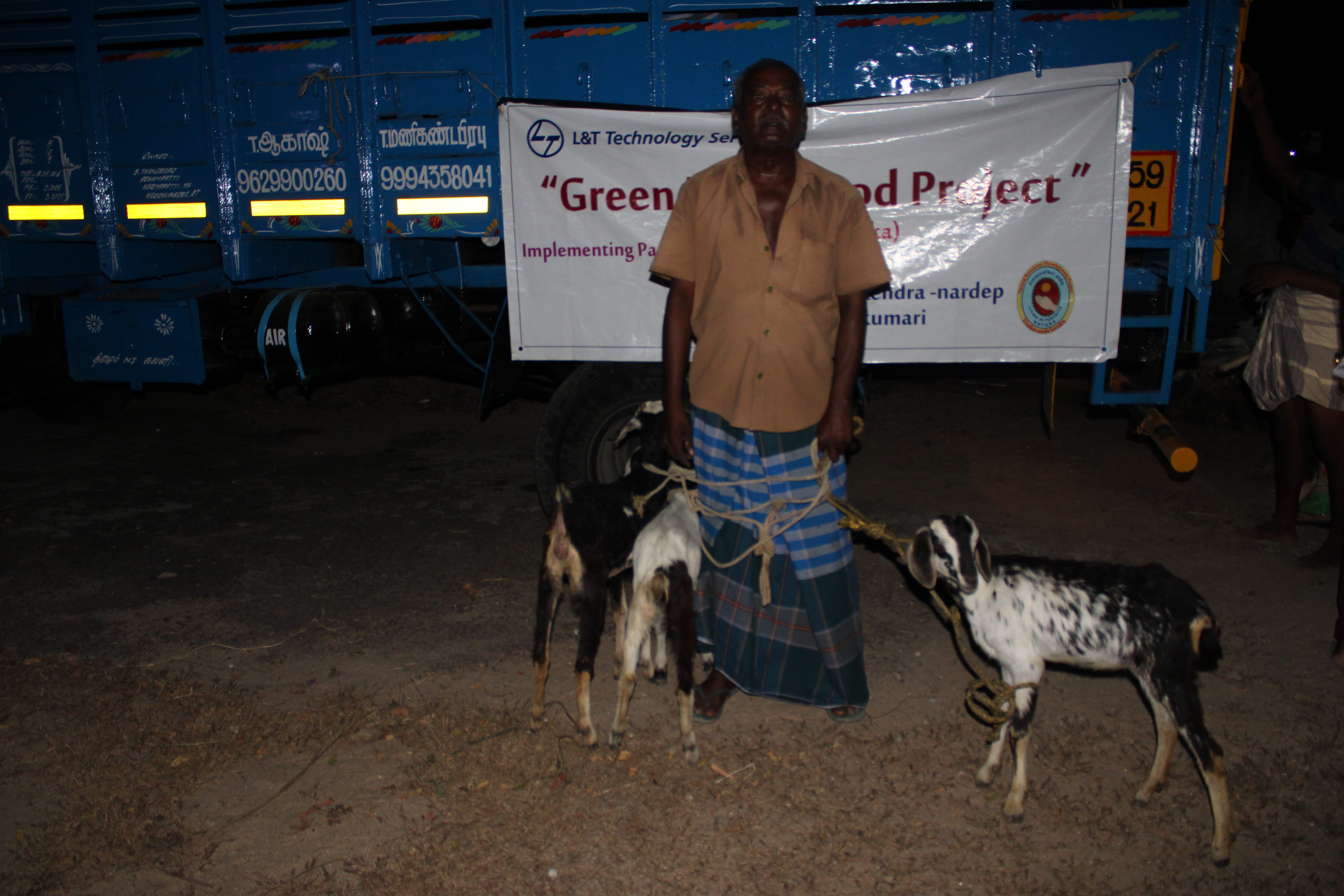 Mailambadi Goat