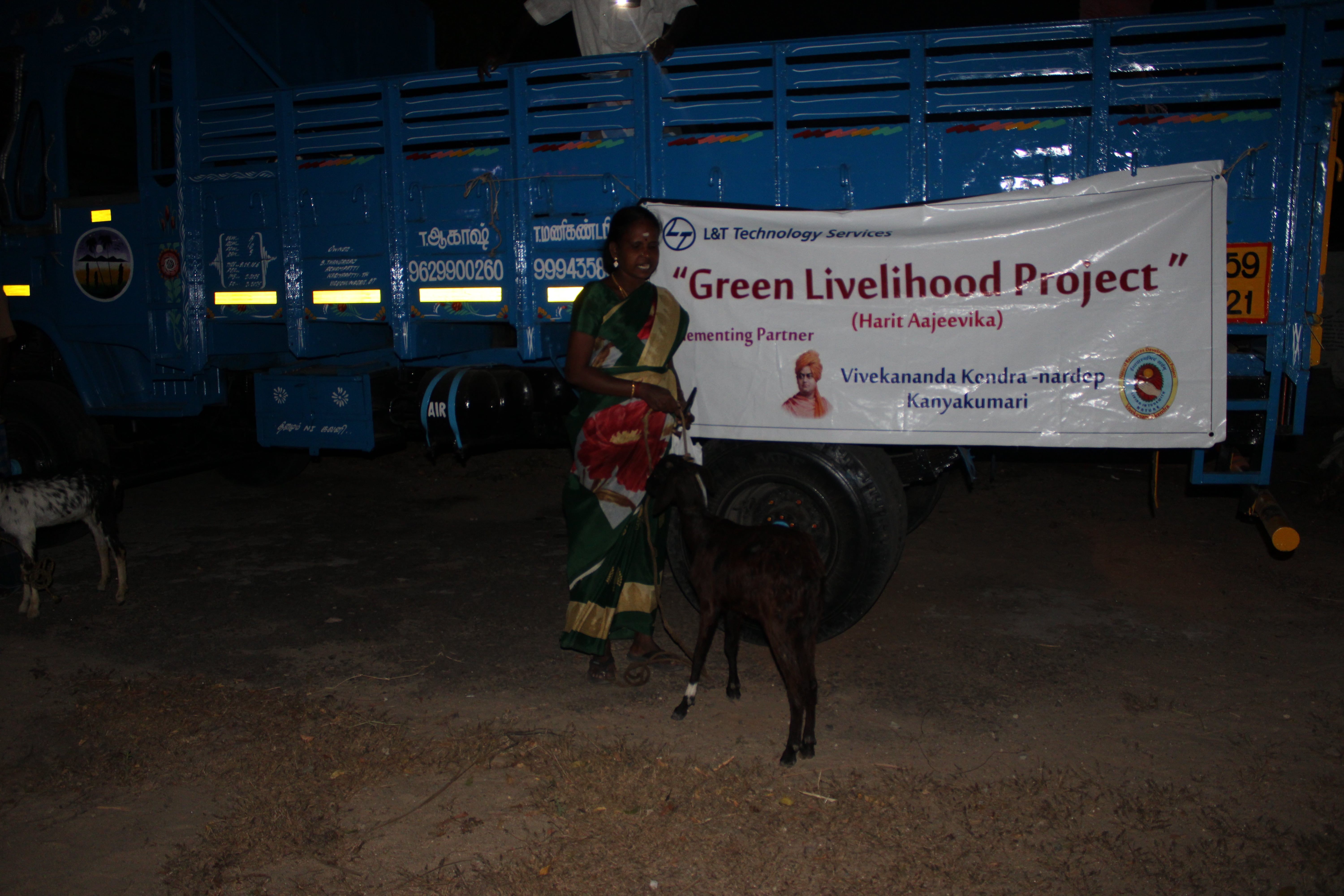 Mailambadi Goat